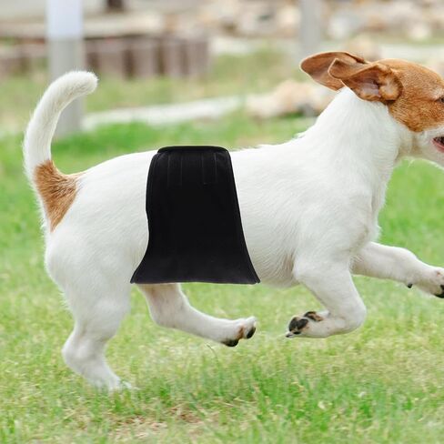 Male Dog Belly Band Washable Reusable Diaper Cotton Waterproof Wrap in Kuwait