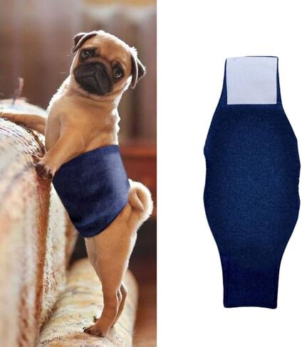 Male Dog Belly Wrap Band Diaper Pants Fabric Blue Reusable Size S in Kuwait