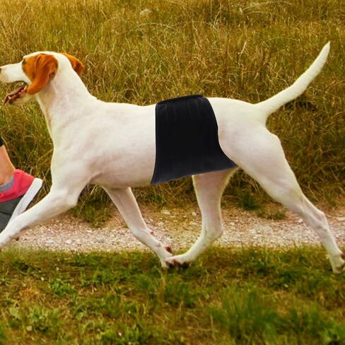 Male Dog Diaper Belly Band, Reusable Washable Cotton Waterproof Wrap in Kuwait