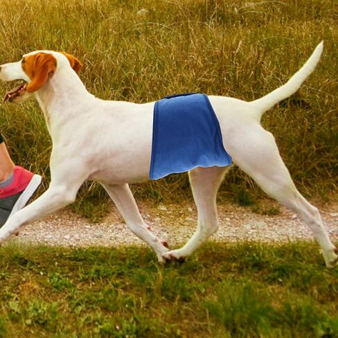 Reusable Dog Belly Band, Double-Sided Waterproof Cloth Puppy Diaper Wrap in Saudi Arabia