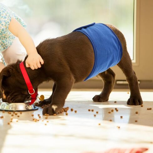 Reusable Dog Belly Band, Double-Sided Waterproof Cloth Puppy Diaper Wrap in Saudi Arabia