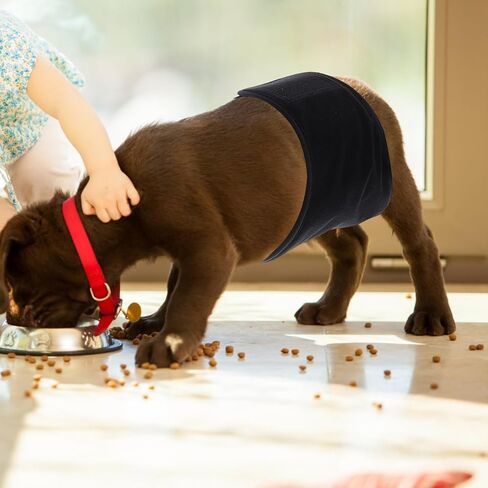 Breathable Male Dog Belly Band, Washable Puppy Diaper Wrap for Indoor Use in Kuwait