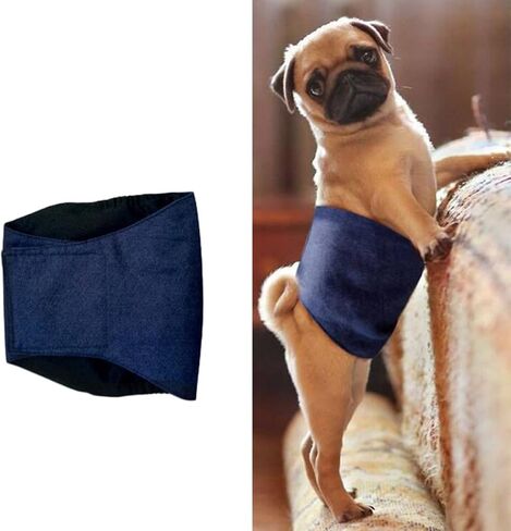 Male Dog Belly Wrap Band Diaper, Cotton Sanitary Underwear Blue in Kuwait