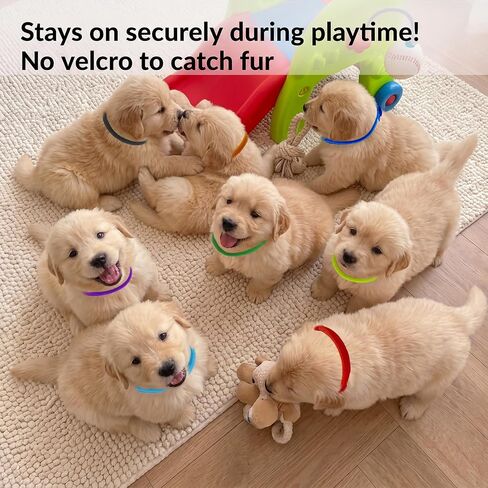24Pcs Whelping Collars for Puppies, 2 Sizes Adjustable Puppy ID Bands in Kuwait