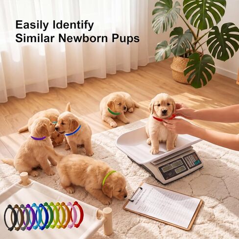 24Pcs Whelping Collars for Puppies, 2 Sizes Adjustable Puppy ID Bands in Kuwait