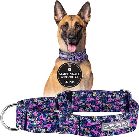 Lucky Love Dog Wide Martingale Collar for Large Dogs Cute – Primrose, Large in Saudi Arabia