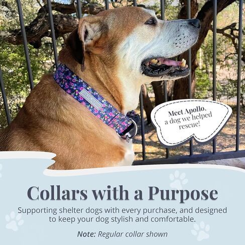 Lucky Love Dog Wide Martingale Collar for Large Dogs Cute – Primrose, Large in Saudi Arabia