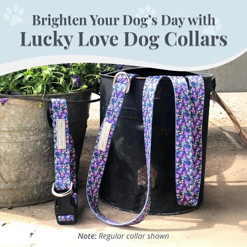 Lucky Love Dog Wide Martingale Collar for Large Dogs Cute – Primrose, Large in Saudi Arabia