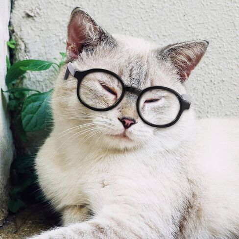 4pcs PET Cosplay Glasses, Round Plastic Sunglasses for Small Pets in Kuwait