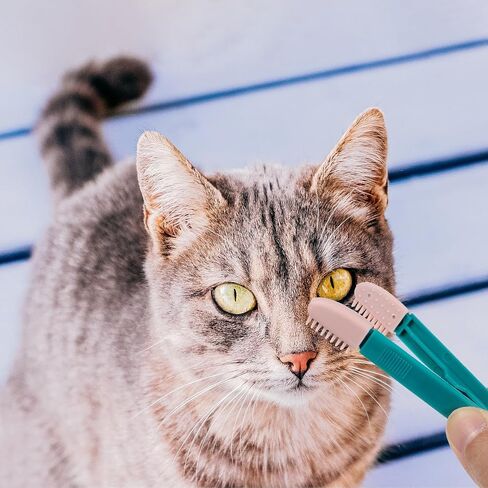 2pcs Cat Eye Comb Kitten Cleaning Brush for Precise in Kuwait