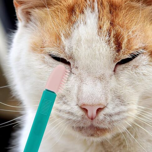 2pcs Cat Eye Comb Kitten Cleaning Brush for Precise in Kuwait