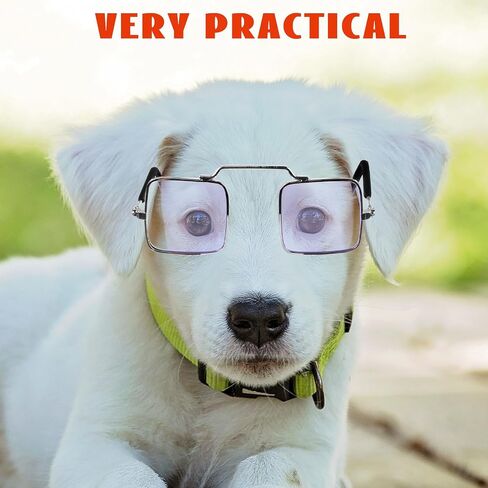 5pcs Funny PET Glasses for Cats and Dogs, Creative Photo Props in Kuwait
