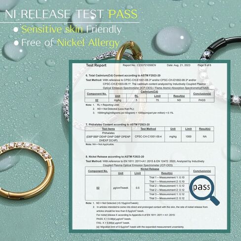 BodyBonita 2 قطعة من حلقات الأنف الملتوية الفضية الشفافة CZ 316L أقراط الغضروف الفولاذية الجراحية محارة Daith Helix Rook Tragus Lobe Snug Body Piercing Jewelry 18G 16G حلقات مقطعية حلقات الشفاه in Kuwait