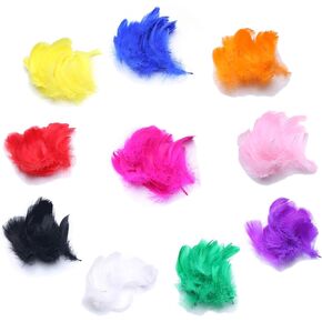 Colorful Feathers for DIY Craft Wedding Home Party Decorations 300pcs 3-5 Inches(8-12cm) 10 Colors