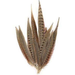 Pheasant Tail Feather Craft Supplies - 8-14" Golden Brown Natural Home Decor 10pcs