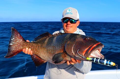 Fish Inc Lures Hooker 180mm Saltwater Sinking Pencil Stickbait in Saudi Arabia