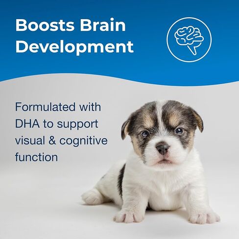 طعام الفطام للجراء الخطوة الثانية من Pet-Ag Esbilac - 14 أونصة، عبوة من 2 - تركيبة فطام الجراء المجففة مع DHA وبروتين الحليب الطبيعي والفيتامينات والمعادن للجراء من عمر 4 إلى 8 أسابيع - سهلة الهضم in Kuwait