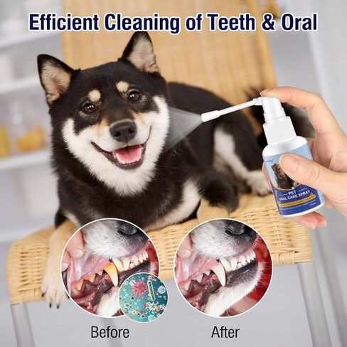 Havenfly Dog Breath Spray for Bad Breath, Dog Teeth Cleaning Spray for Pet Dental Care,Dogs and Cats Plaque and Tartar Remover,Pet Friendly, Great for Pet Needs (1.7oz/50ml) in Kuwait