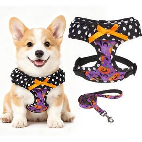 EXPAWLORER Step-in Small Dog Harness and Leash Set, Pink XS in Kuwait