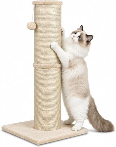 Cat Scratching Post with 5.5 Inch Diameter Sisal Post, 32 Inch, Beige in Kuwait