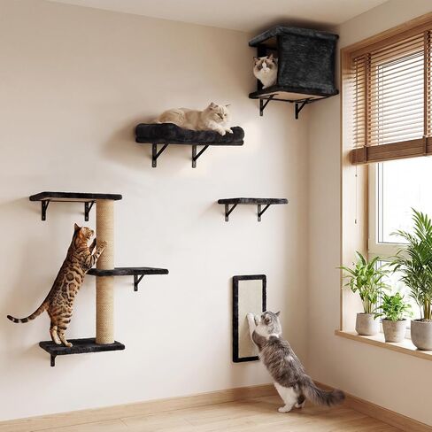 6-in-1 Cat Wall Shelves for Large Cats, Wall Mounted Climber with Hammock in Kuwait