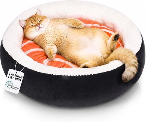 Sushi Cat Bed, Calming Small Dog Bed 21in, Washable in Kuwait