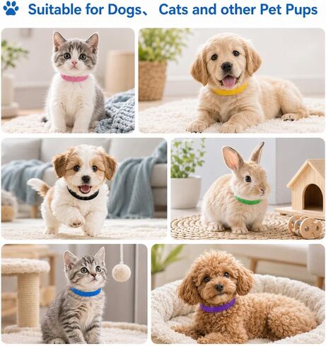 15Pcs New Born Puppy Collars for Litter, Whelping Collars for Puppy Kitten in Kuwait
