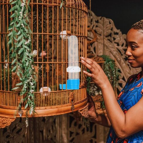 5pcs 120ml Parrot Water Bottle, Plastic Bird Cage Drinking Fountain in Kuwait
