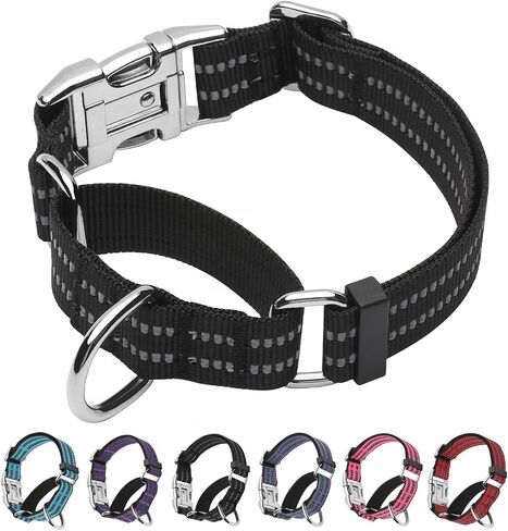 Martingale Collar for Dogs, Reflective, Metal Buckle,Purple,L in Kuwait