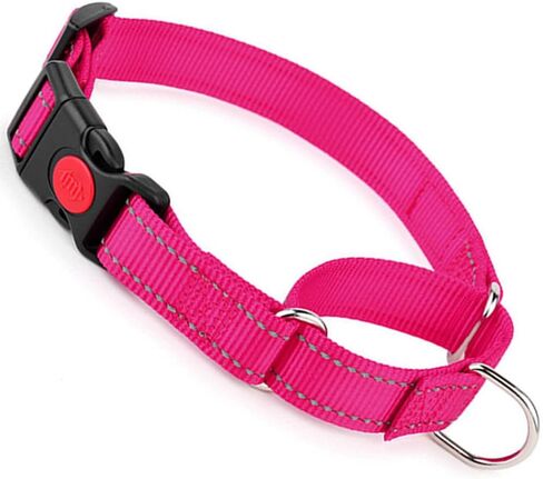 Martingale Collar for Large Dogs, Escape Proof Reflective Dog Collar,Purple in Kuwait