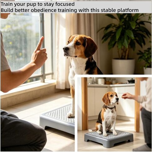 Dog Training Place Board with Non-Skid Surface, Portable Dog Agility Platform, Includes Snack Waist Bag and Scoop, Puppy Training Equipment for Small Medium Dogs 17.3"x13.4"x3.8" (Gray) in Kuwait