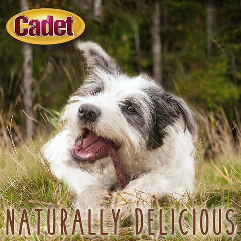 Cadet Premium Grade Beef Hide Munchy Chew Sticks for Dogs, 50 Count, 6.5" in Saudi Arabia
