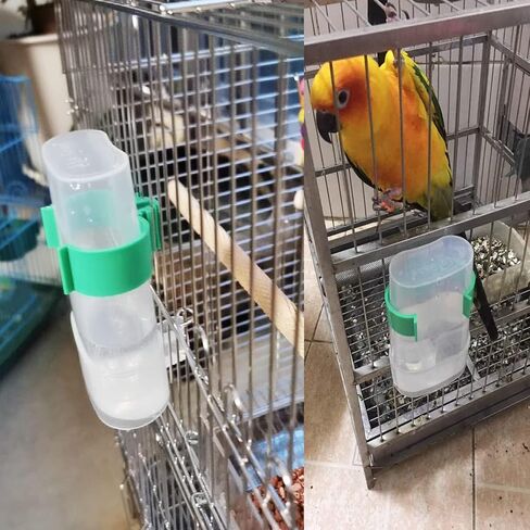 2 Pack Bird Water Dispenser and Feeder for Parakeet Cage Accessories in Kuwait