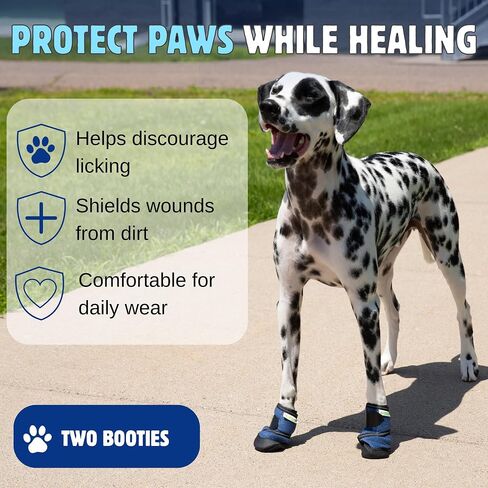 Healers PetCare Medical Dog Boots Box Set with Gauze, Medium in Kuwait