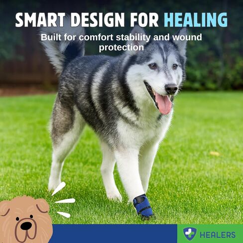 Healers PetCare Medical Dog Boots Box Set with Gauze, Medium in Kuwait
