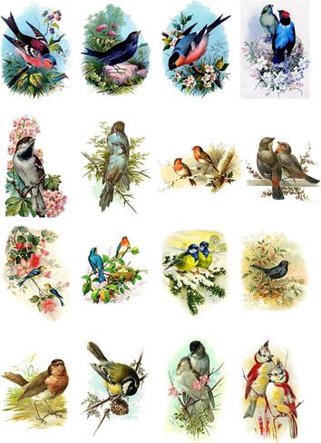 Decoupage Paper Pack (10sheets A4 / 8"x12") Beautiful Birds FLONZ Vintage Paper in Kuwait