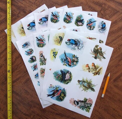 Decoupage Paper Pack (10sheets A4 / 8"x12") Beautiful Birds FLONZ Vintage Paper in Kuwait