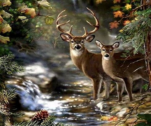 Set of 2 Individual Decoupag Paper Party Napkin Fores Deer Buck Doe Watercolor Decor Luncheon Napkins for a Birthday holiday, Wedding, Cocktail Party in Saudi Arabia