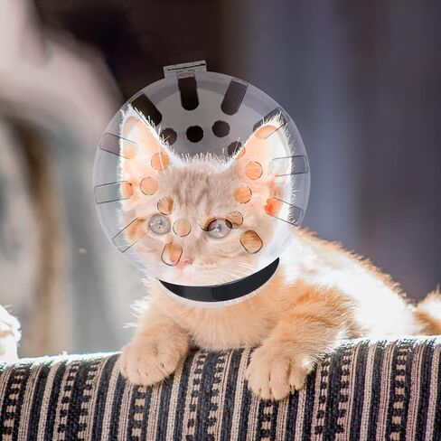 Cat Muzzle for Grooming, Transparent Bubble Hood with Breathable Air Holes in Kuwait