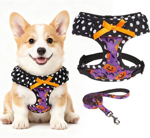 EXPAWLORER Step-in Small Dog Harness and Leash Set, Pink XS in Kuwait
