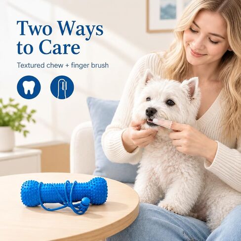 2Pc Dual-Action Canine Dental Prop，bite and Brush Dental Toy for Dogs, Teeth Cleaning Fresh Dog Tartar and Plaque Remover, Woof Tooth Hard Off, Brushing Toothbrush Tools Care Chew Toys in Kuwait