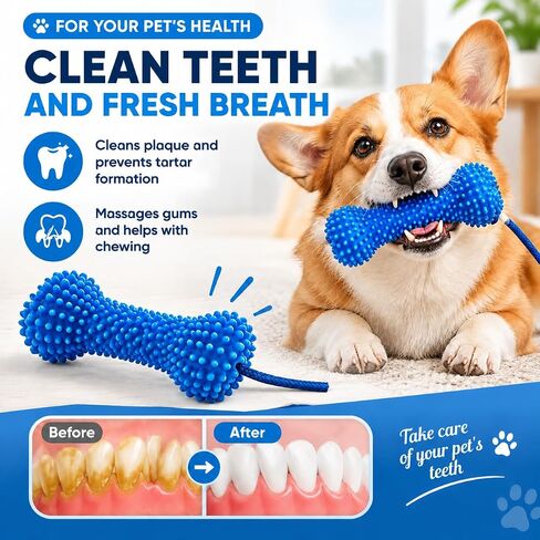 2Pc Dual-Action Canine Dental Prop，bite and Brush Dental Toy for Dogs, Teeth Cleaning Fresh Dog Tartar and Plaque Remover, Woof Tooth Hard Off, Brushing Toothbrush Tools Care Chew Toys in Kuwait