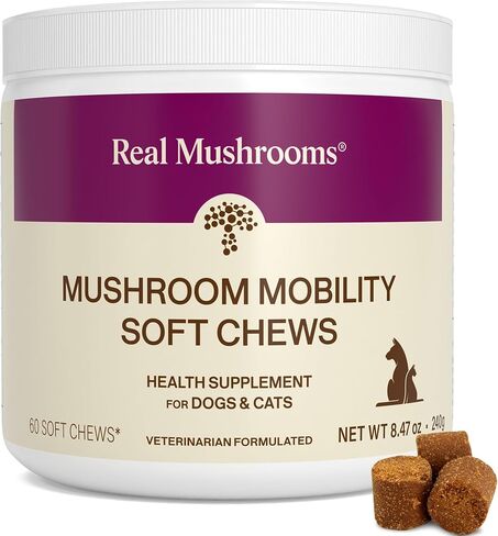Real Mushroom Immune Pet Chews for Dogs and Cats, All Breeds & Sizes, 60ct in Kuwait