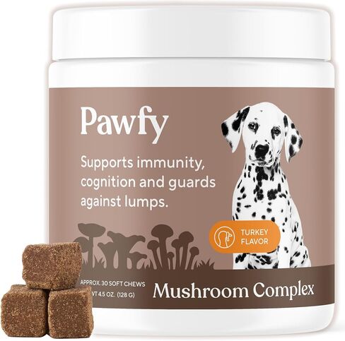 Pawfy Turkey Tail Mushroom for Dogs with Lion's Mane & Reishi - 30 Chews in Kuwait