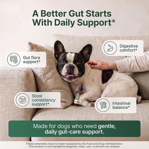 Dog Gut Support Drops, Digestive & Microbiome Support, 2 Fl Oz in Kuwait