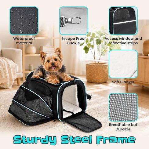 Soft-Sided Expandable Small Dog Carrier, Airline Approved for Traveling in Kuwait