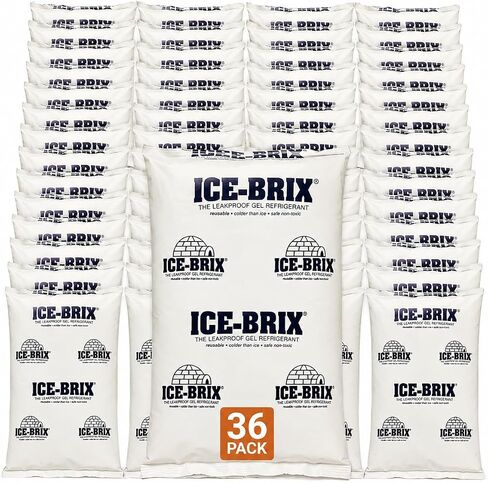Ice-Brix Leakproof Cold Packs, 6" x 4" x 3/4", Reusable and Food Safe (Case of 36) in Kuwait
