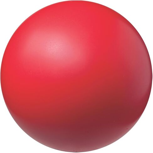 Champion Sports High-Density & Regular-Density Foam Balls – Safe, Lightweight & Durable, Multiple Sizes for Gym Class, Recess & Training, Coated & Uncoated Options for All Ages in Kuwait