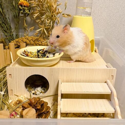 Wooden Hamster Hideout Tunnel Multi-Chamber House Dwarf Hamster Hiding Hut Maze Platform Habitats Exploring Toys for Gerbil Rat Mice in Saudi Arabia