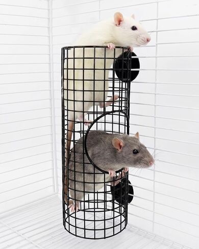 Rat Tunnel Tube with Peek Hole, Chew Resistant & No Collapsing in Kuwait